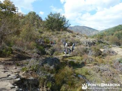 Paseo por el Hayedo de Tejera Negra - Senderismo Cantalojas, Guadalajara; senderos de alicante